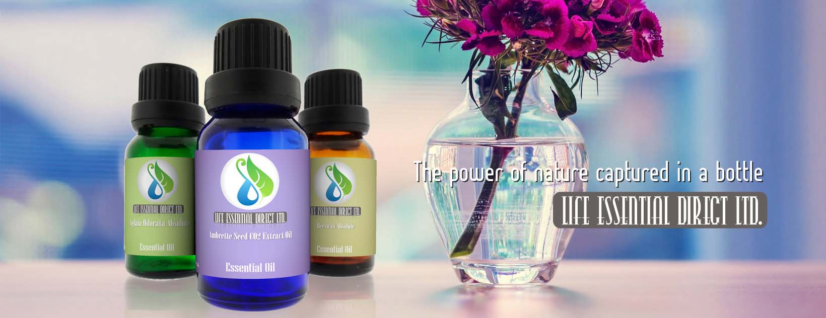 Essential Oils Shopping page
